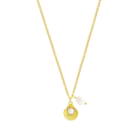 Seashell necklace